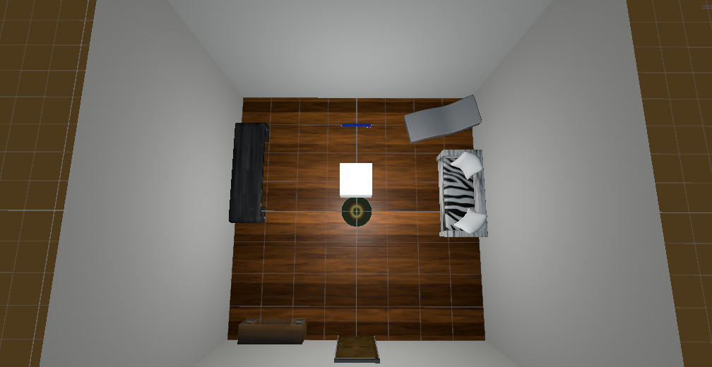 Bird's eye view of the room. The circular mat in the centre indicates the user's fixed location.